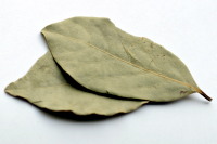 Cassia Leaves